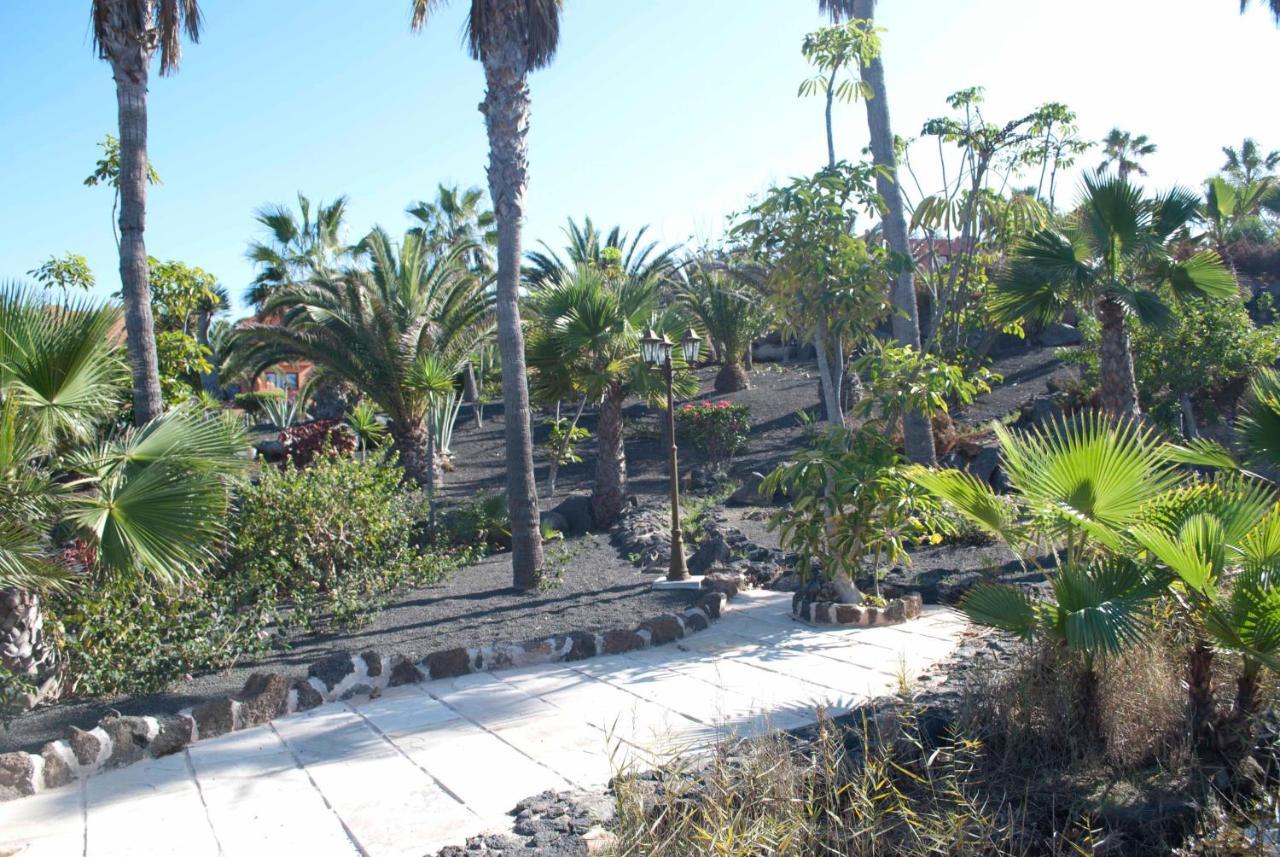 コラレホOasis Royal 3 Piscinasアパートメント エクステリア 写真
