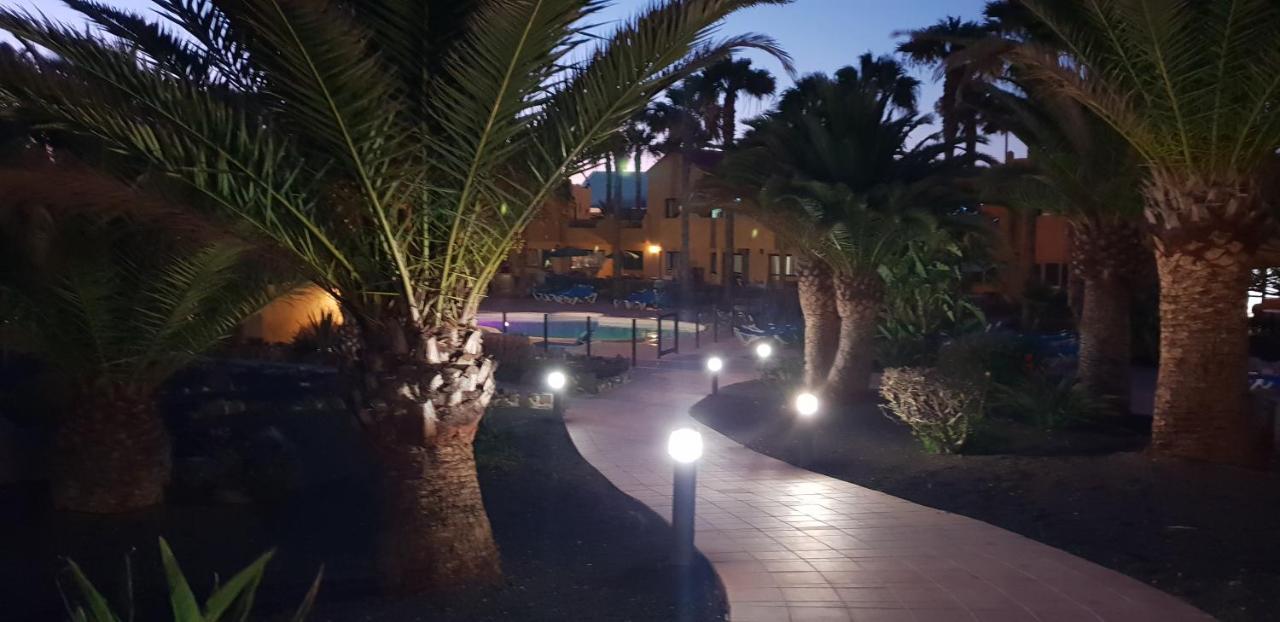 コラレホOasis Royal 3 Piscinasアパートメント エクステリア 写真